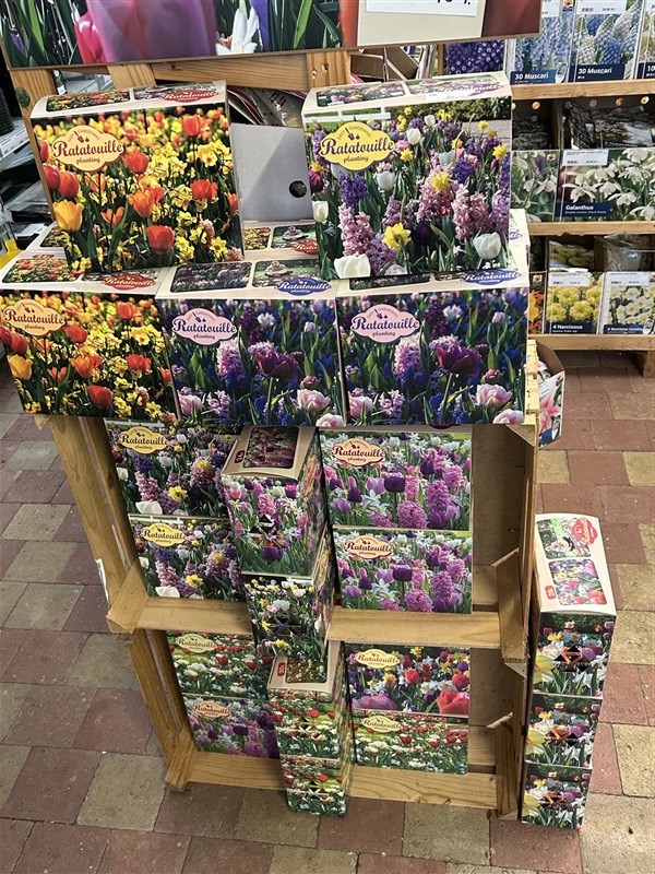 Forårsblomsterløg kommer fra uge 35
