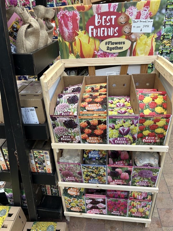 Forårsblomsterløg kommer fra uge 35
